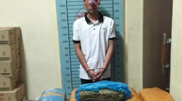 Sat Narkoba Polres Agara Bongkar Peredaran Ganja Antar Daerah, 17,8 Kilogram Diamankan di Kecamatan Ketambe
